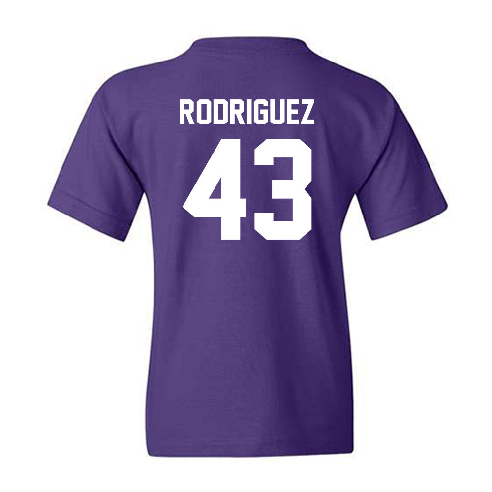 Kansas State - NCAA Football : Luis Rodriguez - Sports Shersey Youth T-Shirt-1