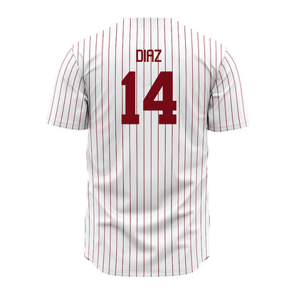 Troy - NCAA Baseball : Zaid Diaz - Red Striped Jersey-1
