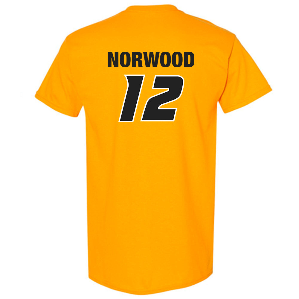 Missouri - NCAA Football : Dreyden Norwood - T-Shirt