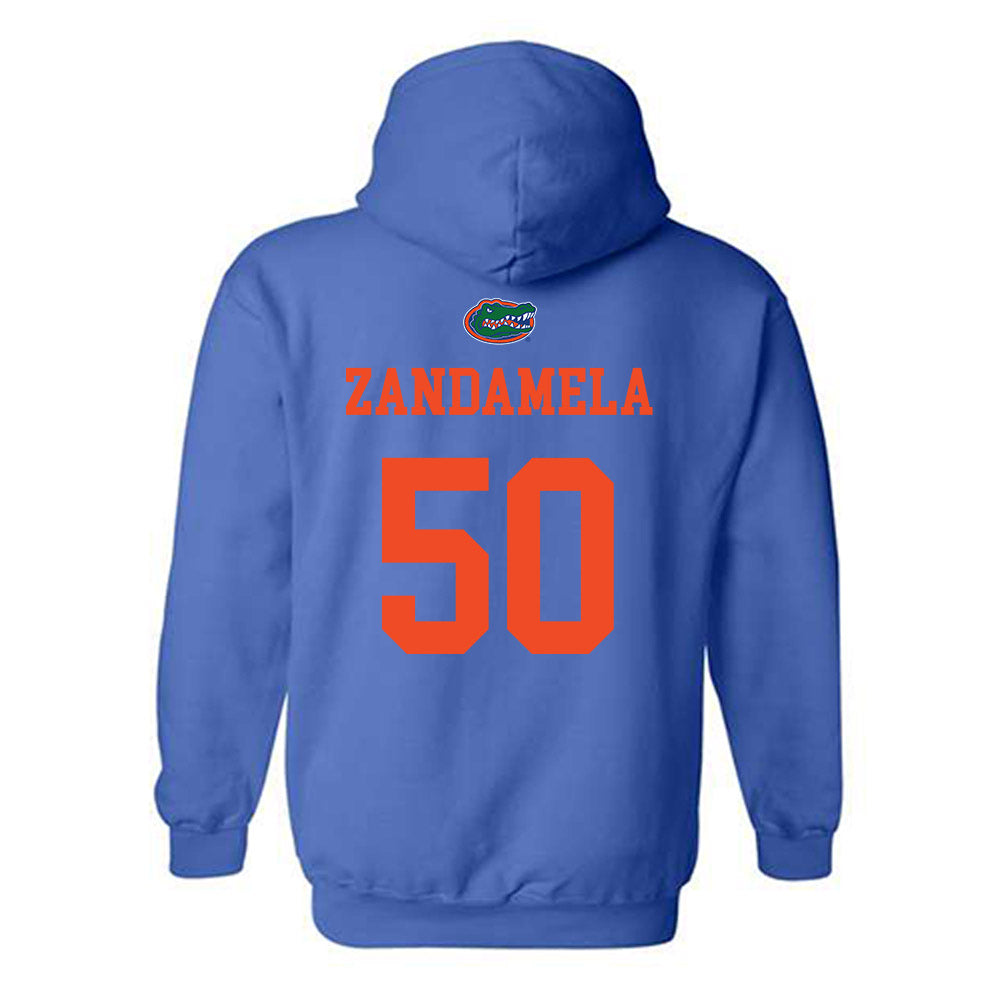 Florida - NCAA Football : Jason Zandamela - Generic Shersey Hooded Sweatshirt-1