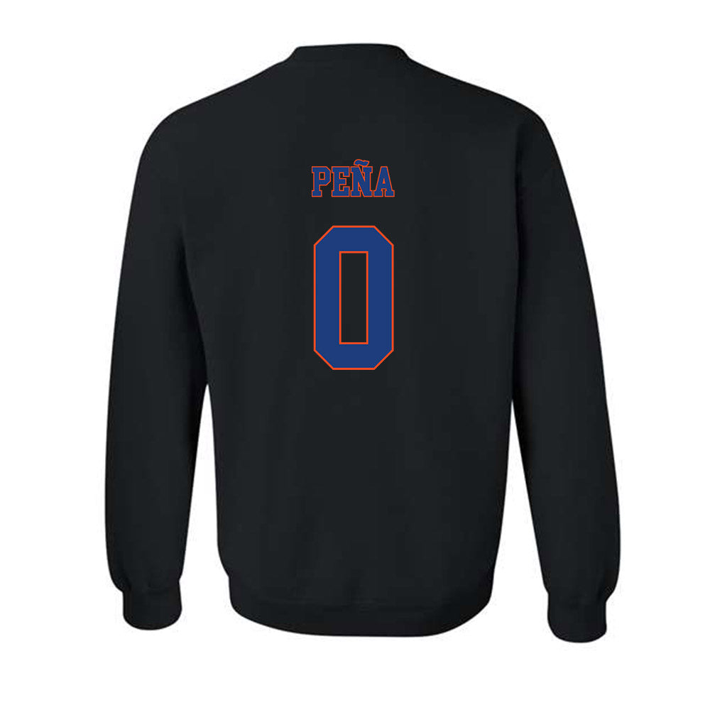 Florida - NCAA Women's Soccer : Paloma Peña - Crewneck Sweatshirt-1