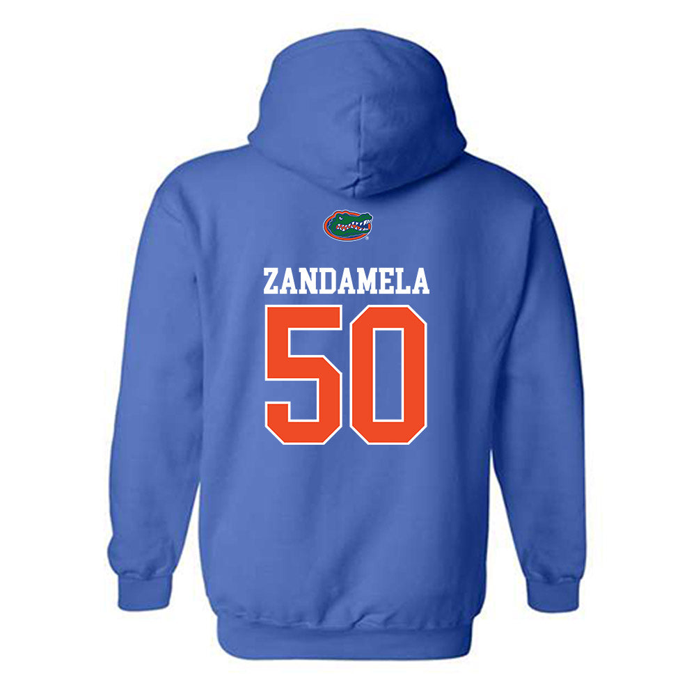 Florida - NCAA Football : Jason Zandamela - Generic Shersey Hooded Sweatshirt-1