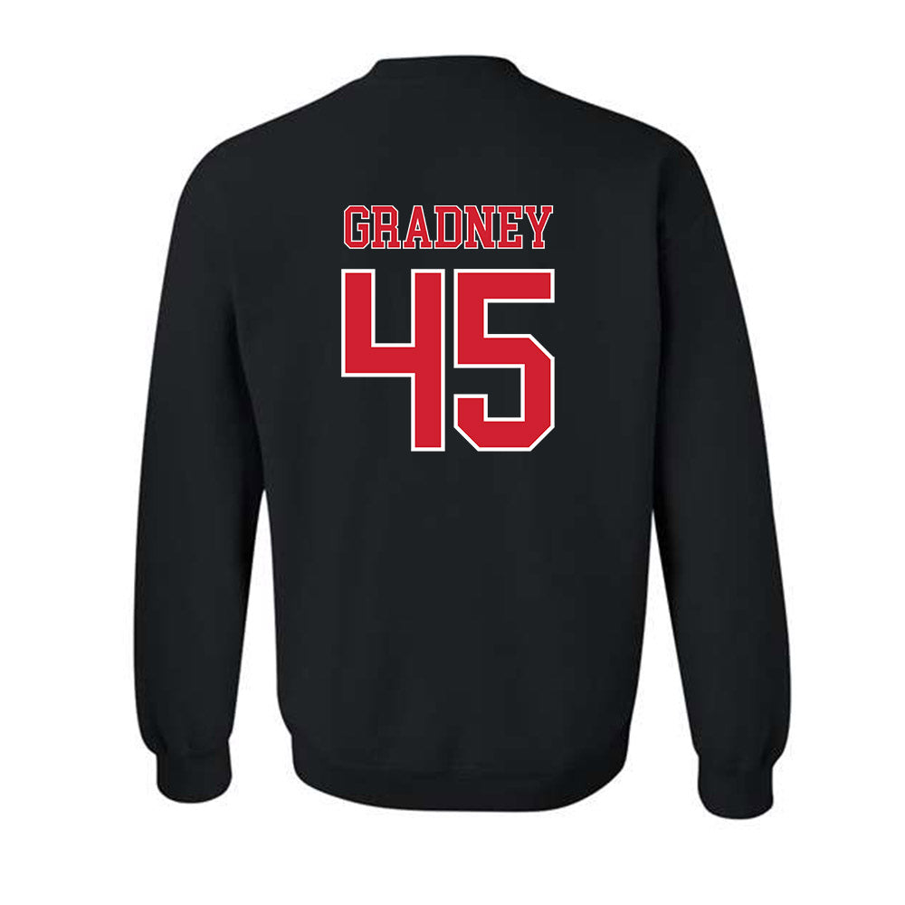 Nebraska - NCAA Football : Roger Gradney - Generic Shersey Crewneck Sweatshirt-1