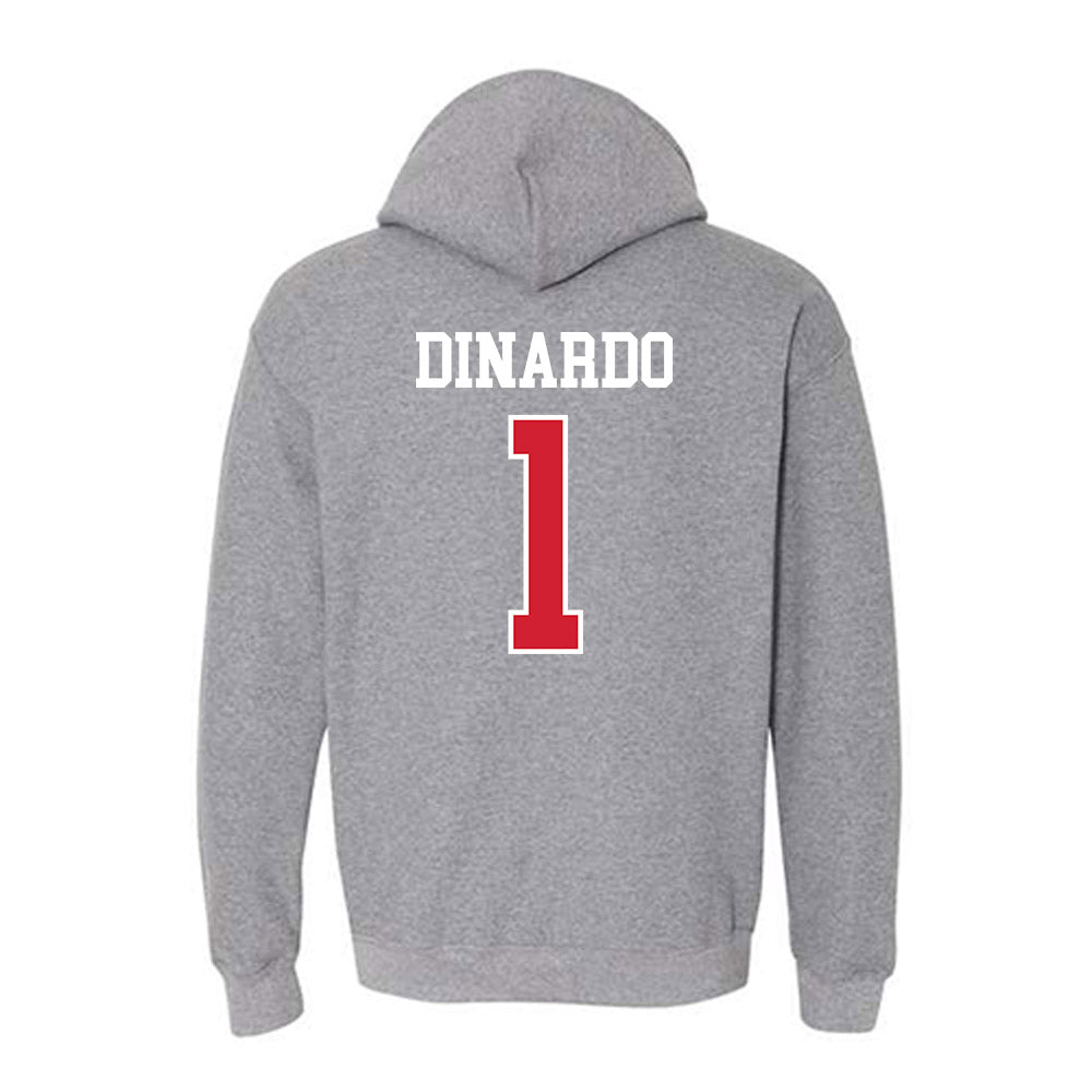 Nebraska - NCAA Softball : Olivia DiNardo - Sports Shersey Hooded Sweatshirt-1