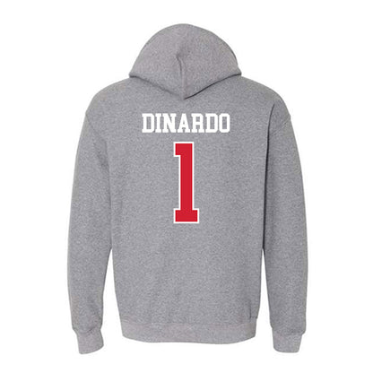 Nebraska - NCAA Softball : Olivia DiNardo - Sports Shersey Hooded Sweatshirt-1