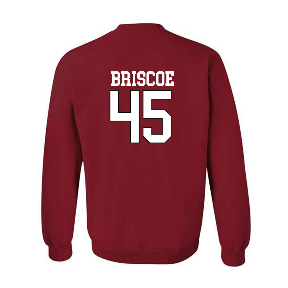 Arkansas - NCAA Baseball : Tye Briscoe - Replica Shersey Crewneck Sweatshirt Replica Shersey-1