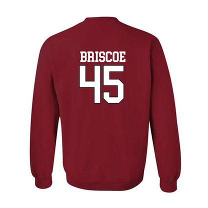 Arkansas - NCAA Baseball : Tye Briscoe - Replica Shersey Crewneck Sweatshirt Replica Shersey-1