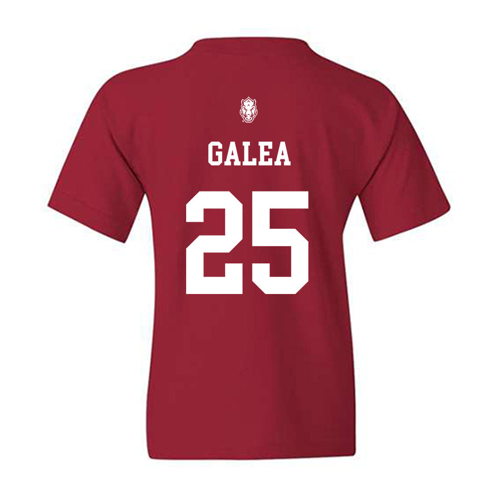 Arkansas - NCAA Women's Basketball : Danika Galea - Classic Shersey Youth T-Shirt-1