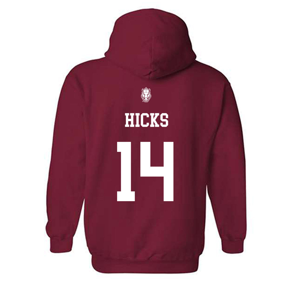 Arkansas - NCAA Women's Volleyball : Rosana Hicks - Classic Shersey Hooded Sweatshirt-1