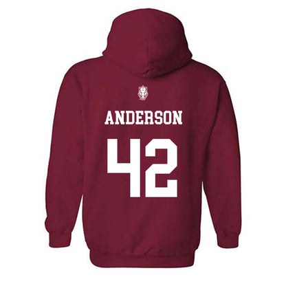 Arkansas - NCAA Baseball : Michael Anderson - Classic Shersey Hooded Sweatshirt-1