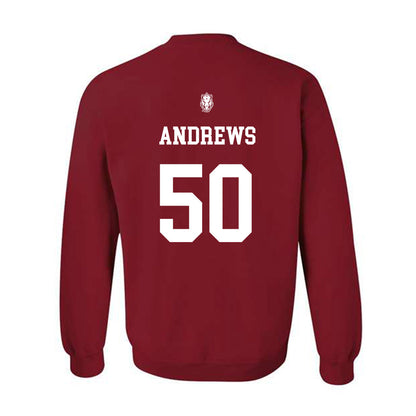 Arkansas - NCAA Baseball : Tag Andrews - Classic Shersey Crewneck Sweatshirt
