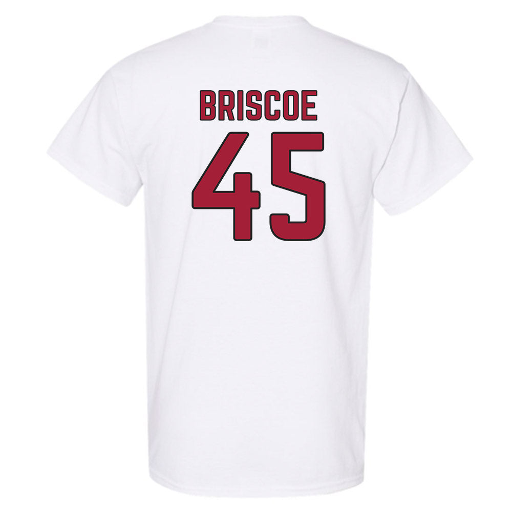 Arkansas - NCAA Baseball : Tye Briscoe - Sports Shersey T-Shirt-1