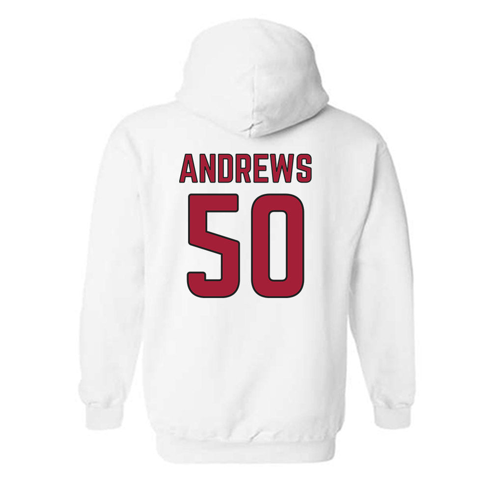 Arkansas - NCAA Baseball : Tag Andrews - Sports Shersey Hooded Sweatshirt