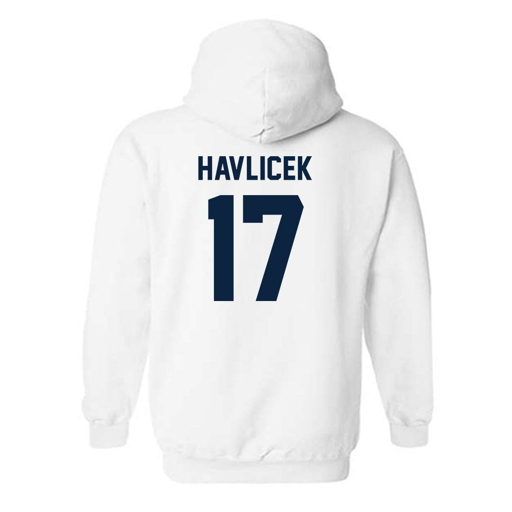 Auburn - NCAA Women's Volleyball : Grace Havlicek - Classic Shersey Hooded Sweatshirt-3