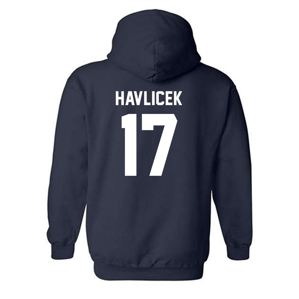 Auburn - NCAA Women's Volleyball : Grace Havlicek - Generic Shersey Hooded Sweatshirt-1