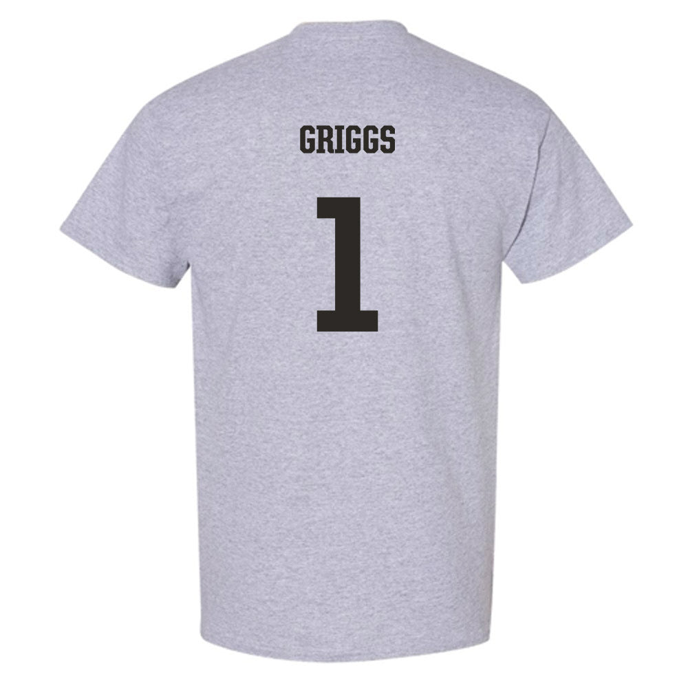 FSU - NCAA Softball : Hayley Griggs - Fashion Shersey T-Shirt-1