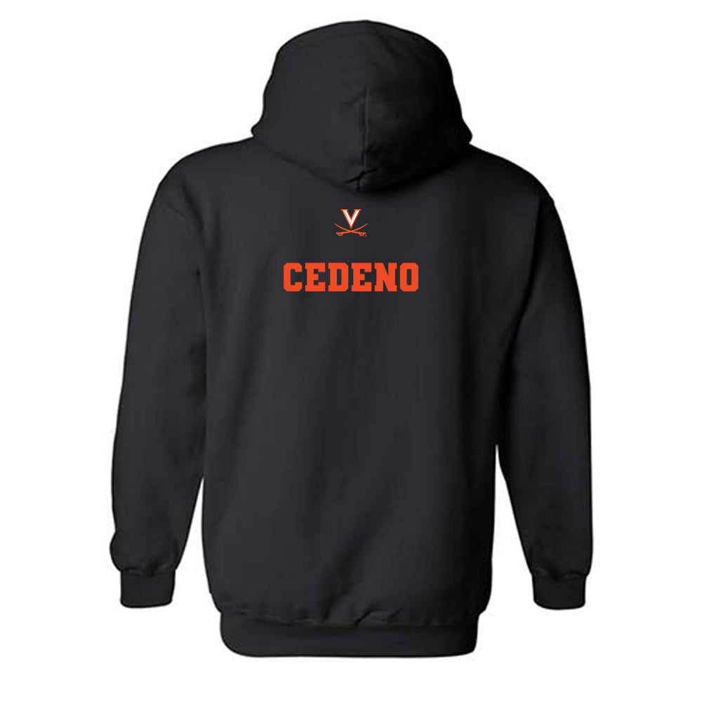 Virginia - NCAA Wrestling : Dylan Cedeno - Fashion Shersey Hooded Sweatshirt-1