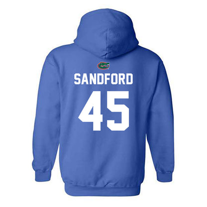 Florida - NCAA Baseball : Schuyler Sandford - Replica Shersey Hooded Sweatshirt