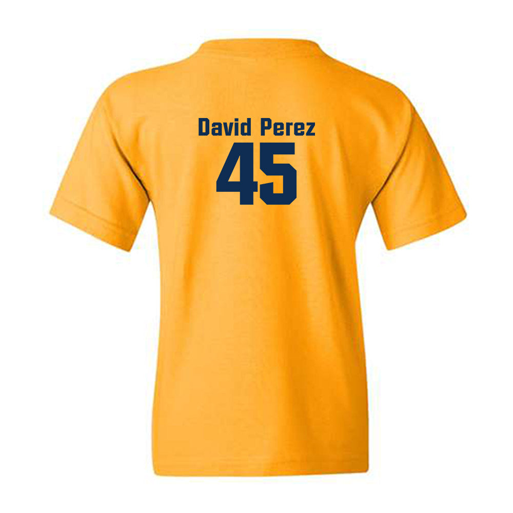 West Virginia - NCAA Baseball : David Perez - Fashion Shersey Youth T-Shirt-1