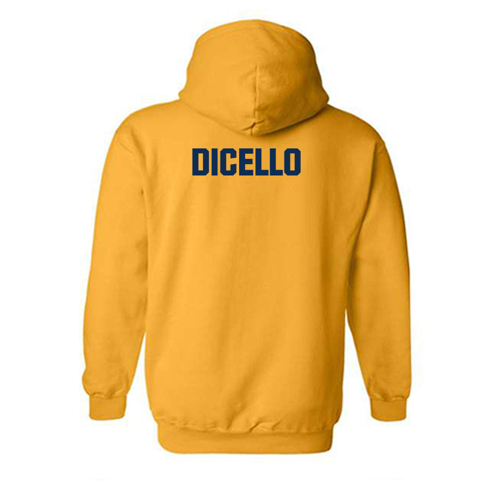 West Virginia - NCAA Women's Gymnastics : Karleigh DiCello - Fashion Shersey Hooded Sweatshirt-1