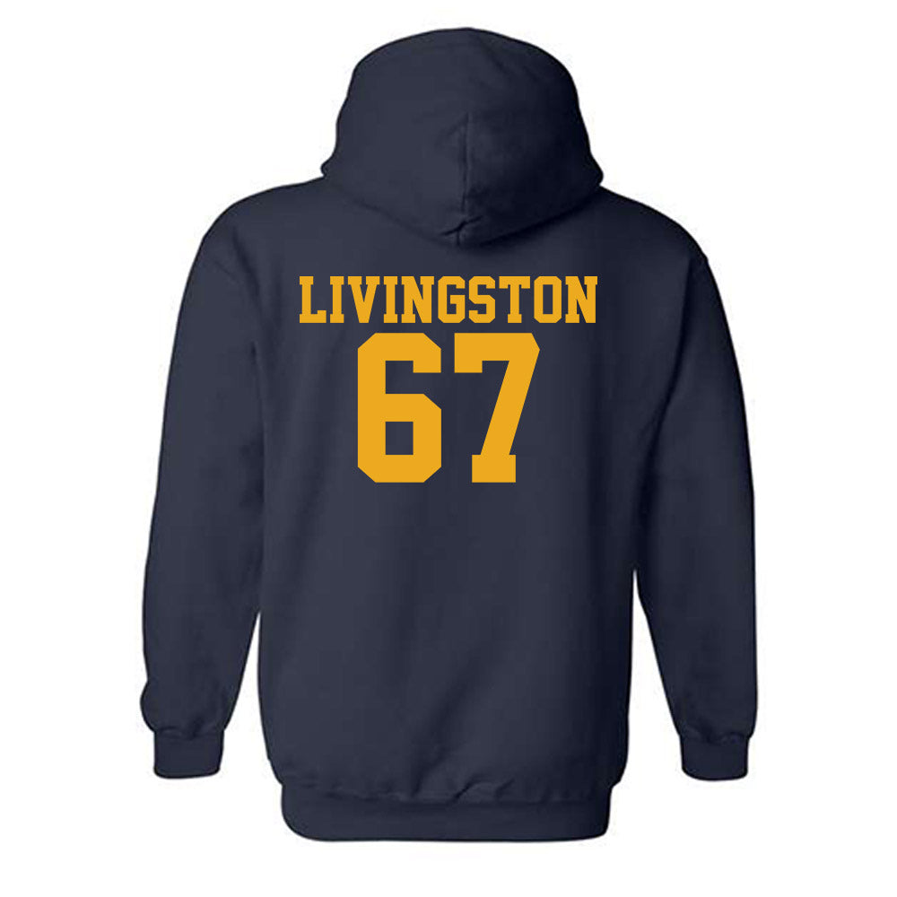 West Virginia - NCAA Football : Landen Livingston - Fashion Shersey Hooded Sweatshirt-1