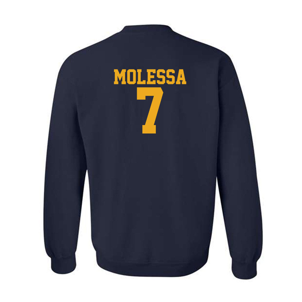 West Virginia - NCAA Baseball : Maxwell Molessa - Fashion Shersey Crewneck Sweatshirt-1