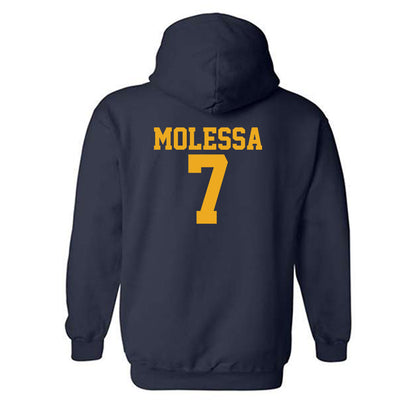 West Virginia - NCAA Baseball : Maxwell Molessa - Fashion Shersey Hooded Sweatshirt-1