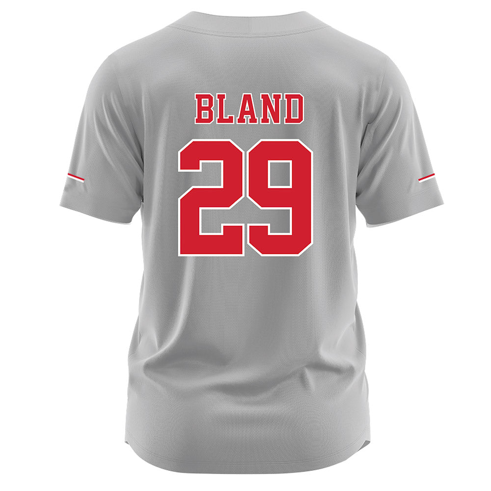 Nebraska - NCAA Softball : Samantha Bland - Grey Jersey