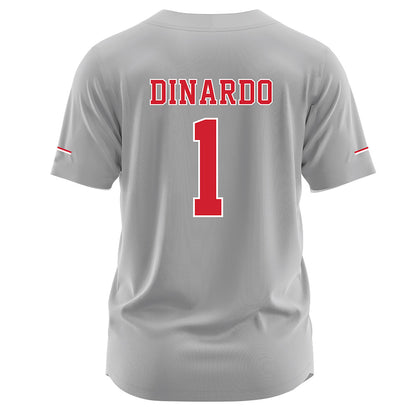 Nebraska - NCAA Softball : Olivia DiNardo - Grey Jersey-1
