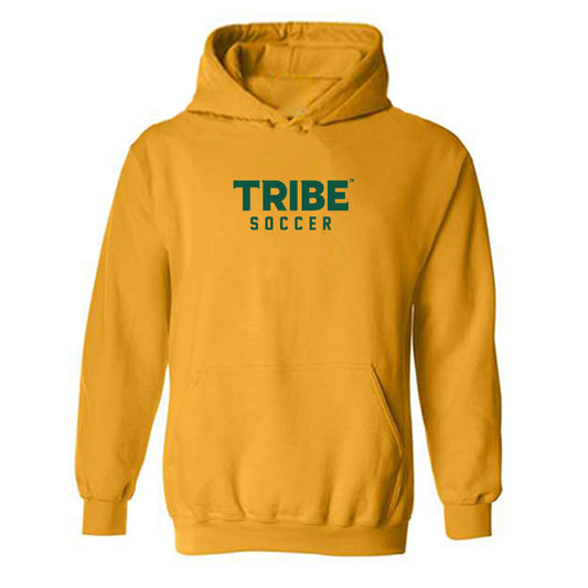 William & Mary - NCAA Men's Soccer : Noah Hiort-Wright - Sports Shersey Hooded Sweatshirt-0