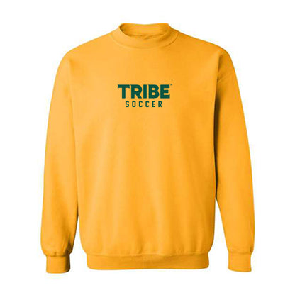 William & Mary - NCAA Men's Soccer : Noah Hiort-Wright - Sports Shersey Crewneck Sweatshirt-0