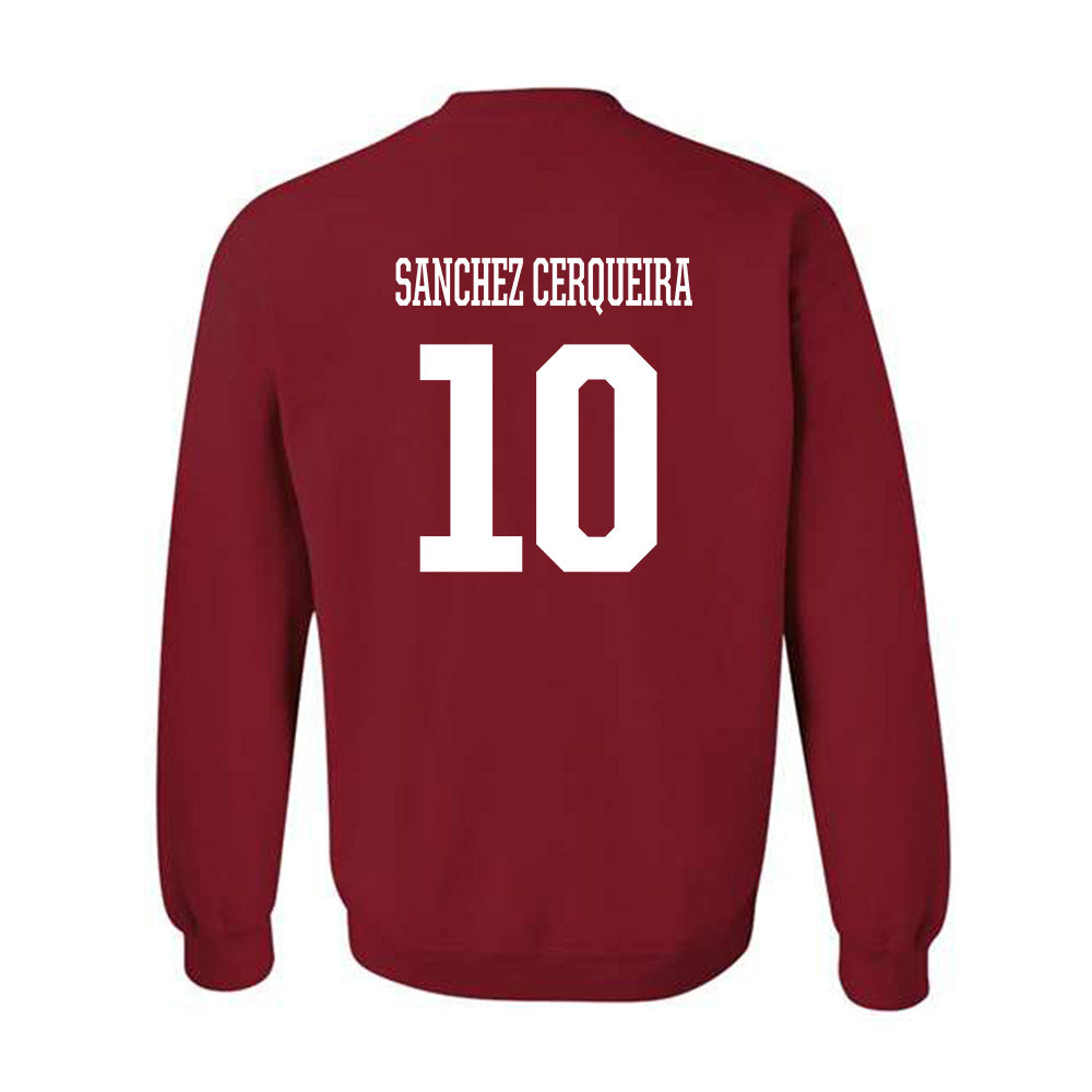 Arkansas - NCAA Women's Basketball : Cristina Sanchez Cerqueira - Crewneck Sweatshirt Classic Shersey