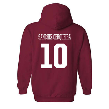 Arkansas - NCAA Women's Basketball : Cristina Sanchez Cerqueira - Hooded Sweatshirt Classic Shersey