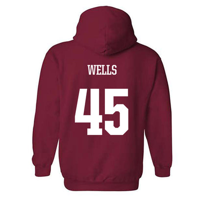 Arkansas - NCAA Softball : Jayden Wells - Hooded Sweatshirt Classic Shersey