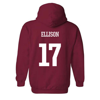 Arkansas - NCAA Women's Volleyball : Skylar Ellison - Classic Shersey Hooded Sweatshirt