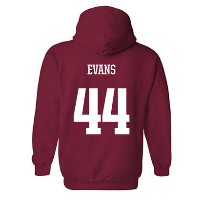 Arkansas - NCAA Women's Volleyball : Zoi Evans - Classic Shersey Hooded Sweatshirt