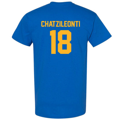 Pittsburgh - NCAA Women's Basketball : Ionanna Chatzileonti - T-Shirt Classic Shersey