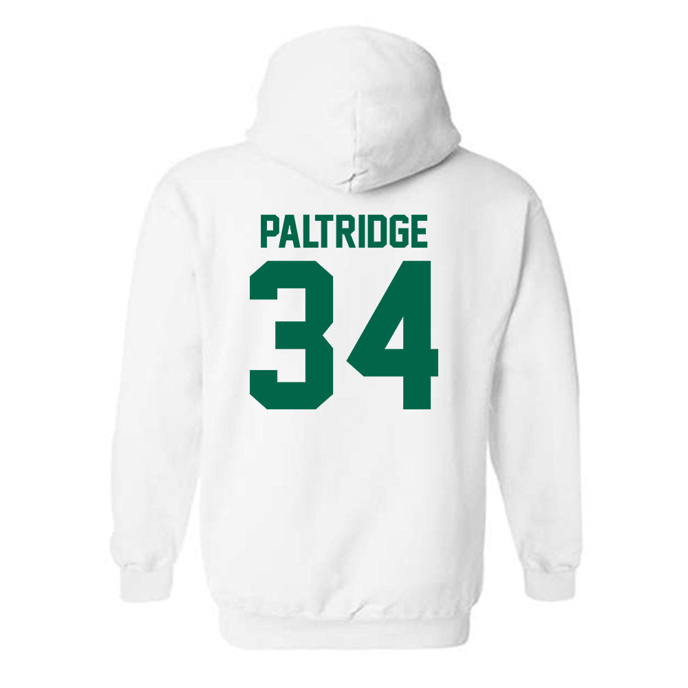 Siena - NCAA Baseball : Richie Paltridge - Hooded Sweatshirt Classic Shersey