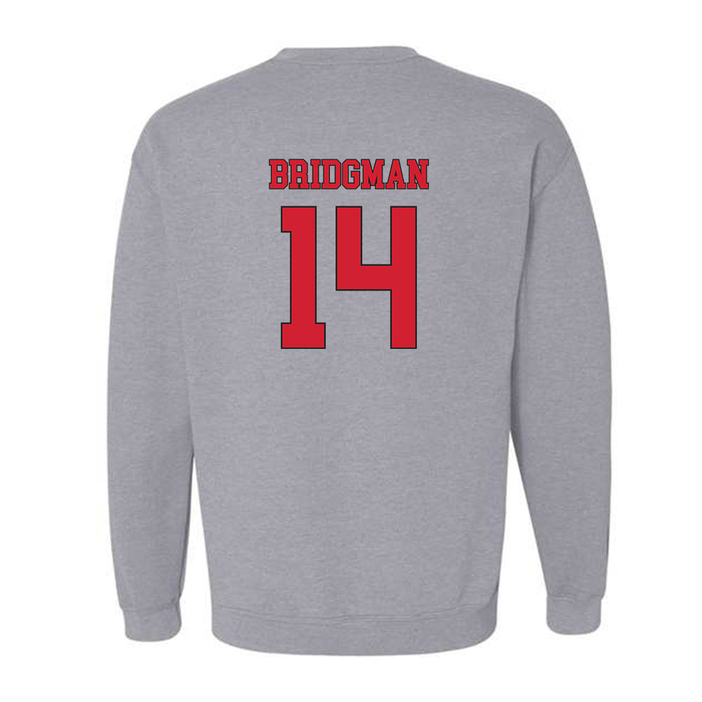 Fairfield - NCAA Softball : Allison Bridgman - Crewneck Sweatshirt Classic Fashion Shersey