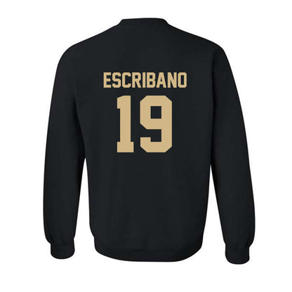 Wake Forest - NCAA Men's Soccer : Cristian Escribano - Black Replica Sweatshirt