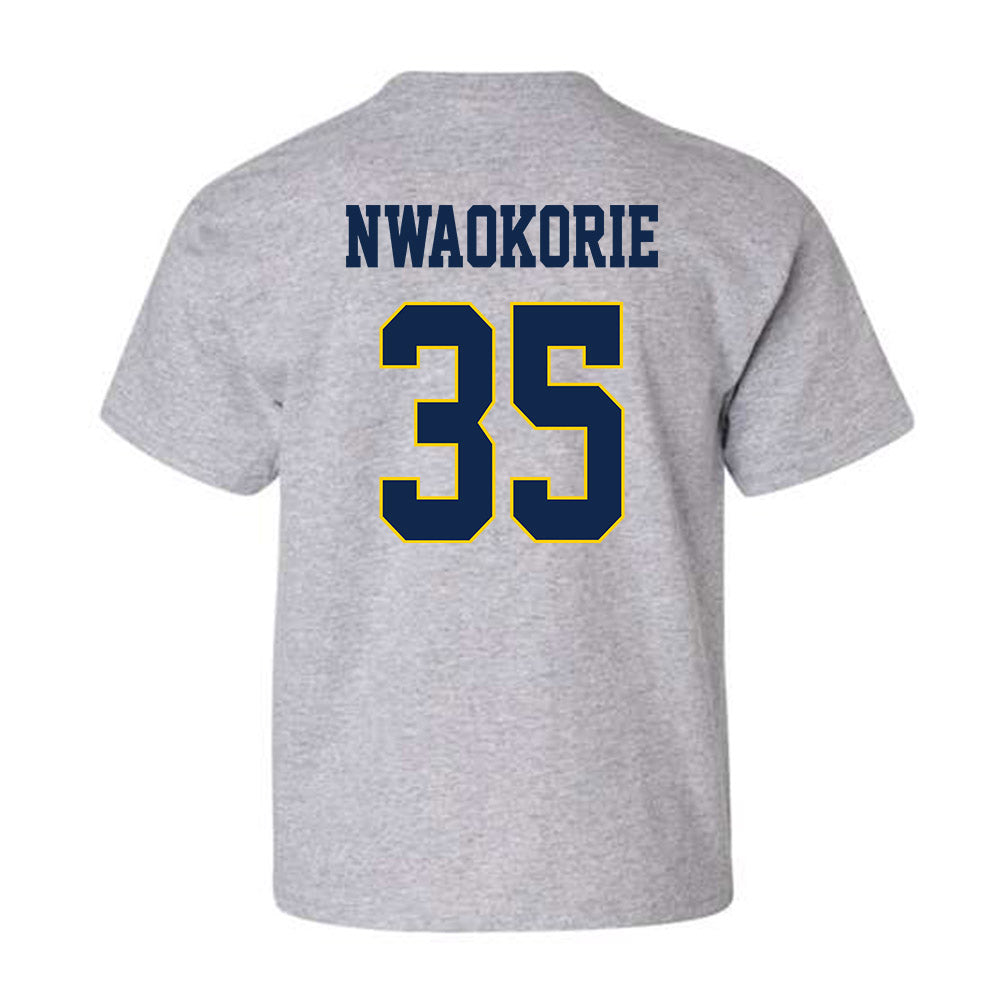 UCSD - NCAA Men's Basketball : Francis Nwaokorie - Youth T-Shirt Classic Fashion Shersey