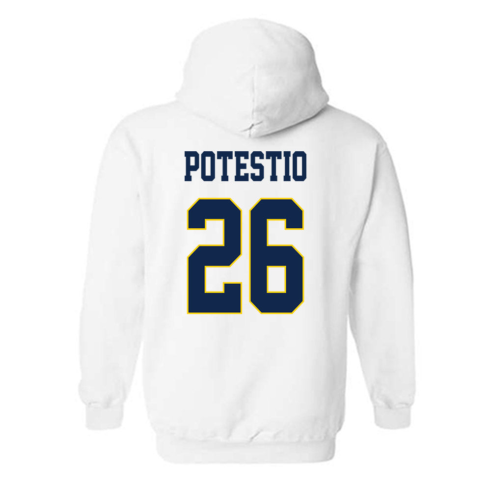 UCSD - NCAA Baseball : Anthony Potestio - Hooded Sweatshirt Classic Fashion Shersey