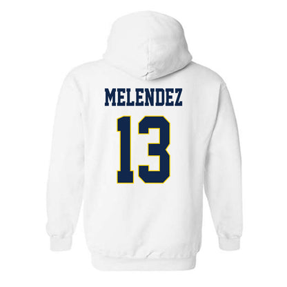 UCSD - NCAA Softball : Mariah Melendez - Hooded Sweatshirt Classic Fashion Shersey