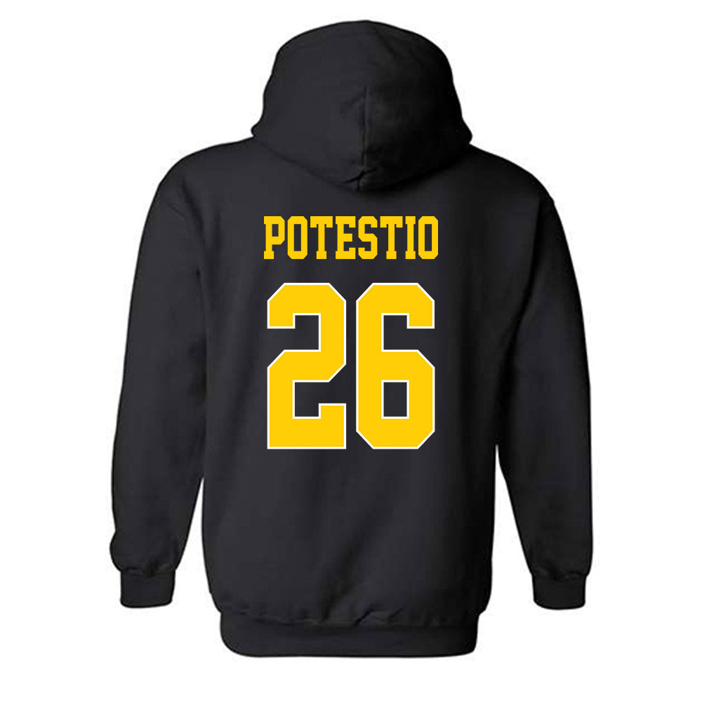 UCSD - NCAA Baseball : Anthony Potestio - Hooded Sweatshirt Classic Fashion Shersey