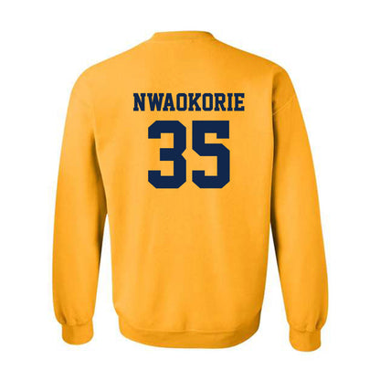 UCSD - NCAA Men's Basketball : Francis Nwaokorie - Crewneck Sweatshirt Classic Shersey