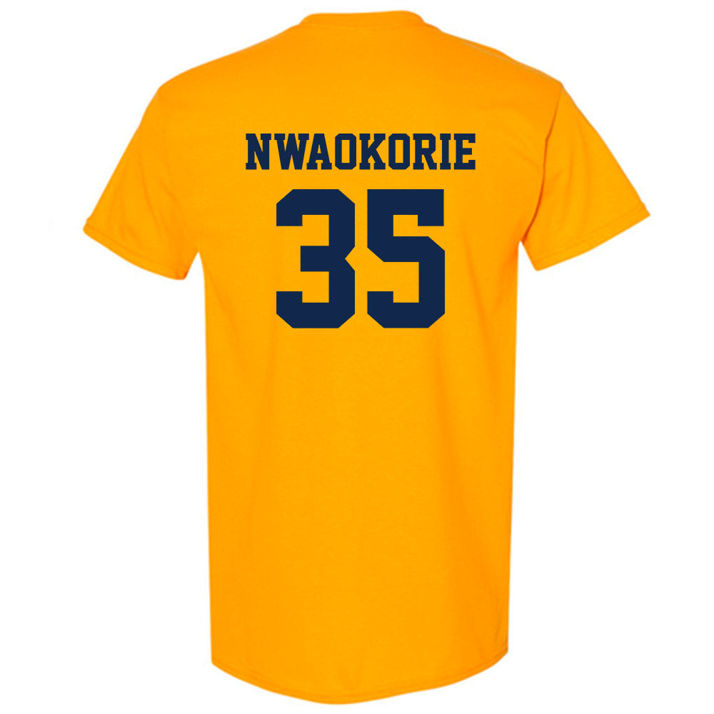 UCSD - NCAA Men's Basketball : Francis Nwaokorie - T-Shirt Classic Shersey