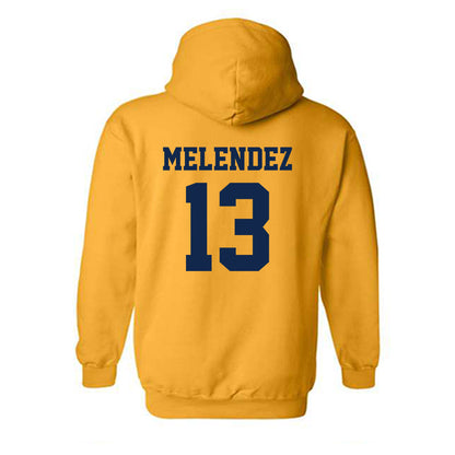 UCSD - NCAA Softball : Mariah Melendez - Hooded Sweatshirt Classic Shersey