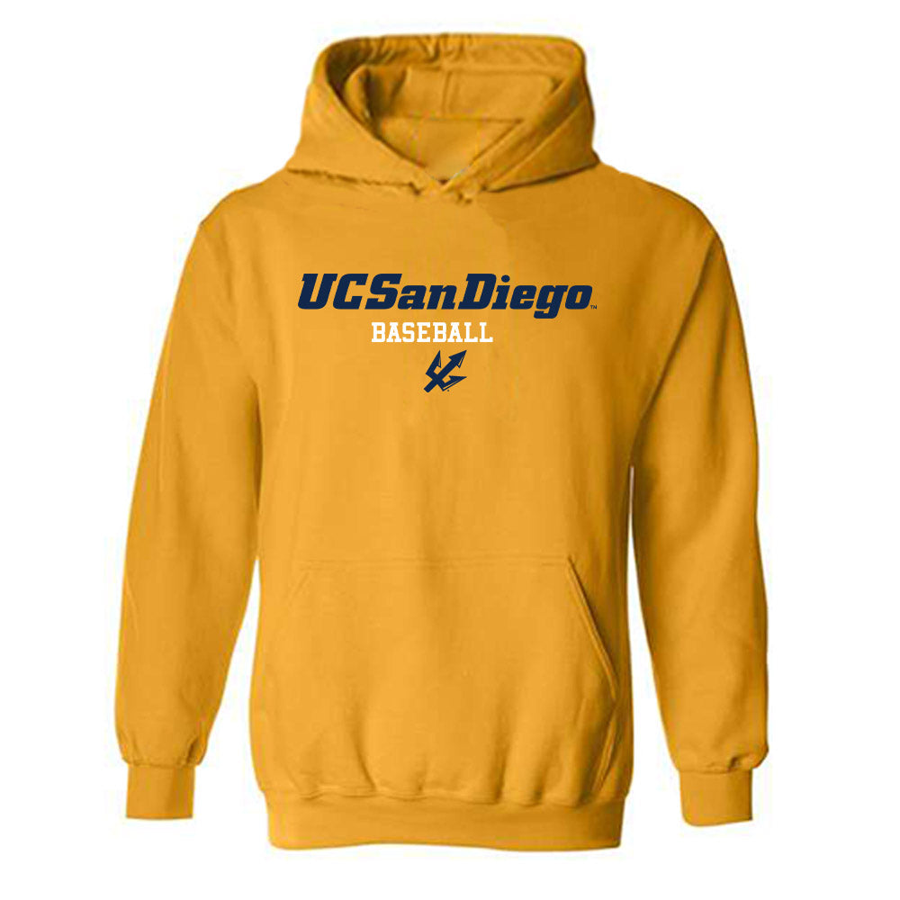 UCSD - NCAA Baseball : Anthony Potestio - Hooded Sweatshirt Classic Shersey