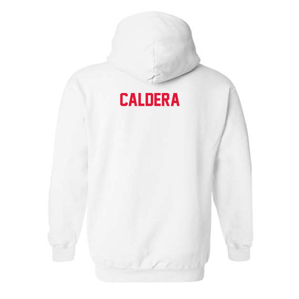 Fairfield - NCAA Men's Cross Country : Andrew Caldera - Hooded Sweatshirt Classic Shersey