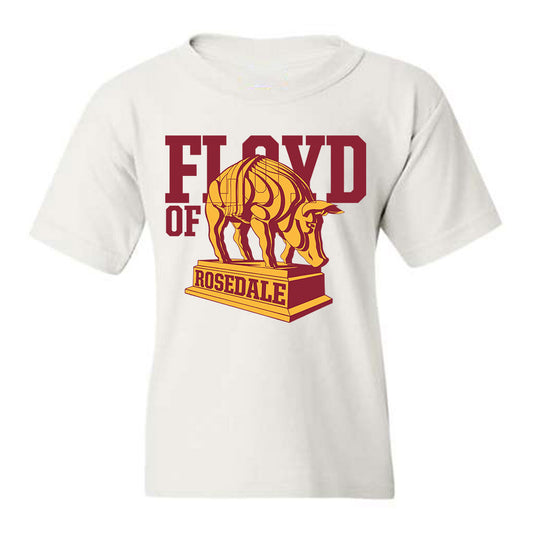 Minnesota - Dinkytown Athlete : Floyd of Rosedale Youth T-Shirt